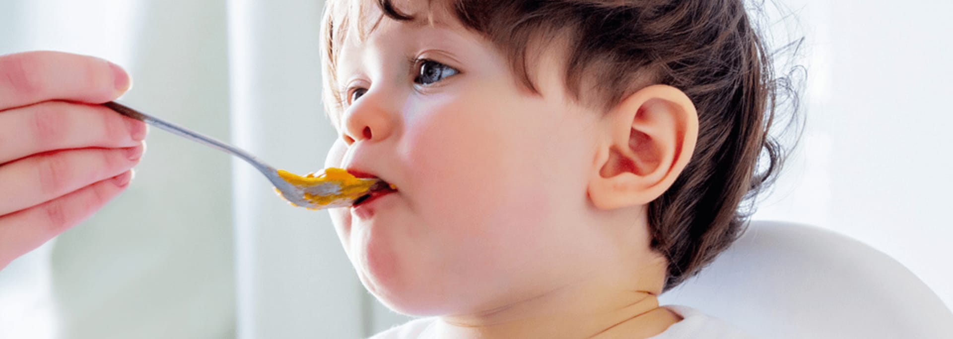 ¿Qué es un picky eater? 🍴 Blog Hero Baby